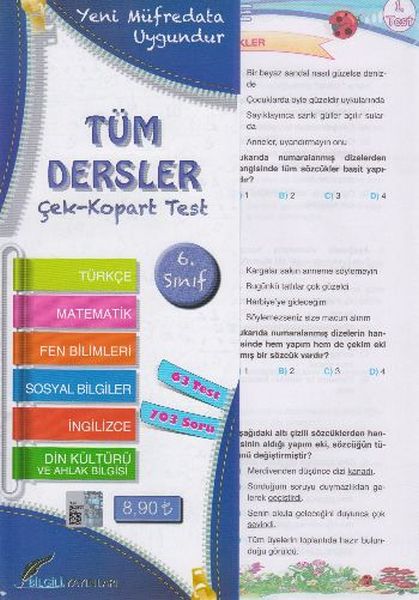 Bilgili 6 Sınıf Tüm Dersler Yaprak Test