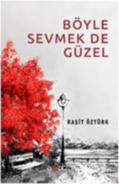 Böyle Sevmek de Güzel