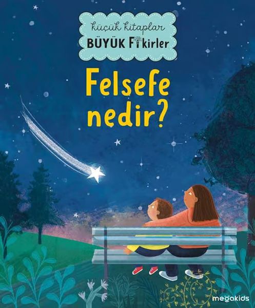 Küçük Kitaplar Büyük Fikirler  Felsefe Nedir