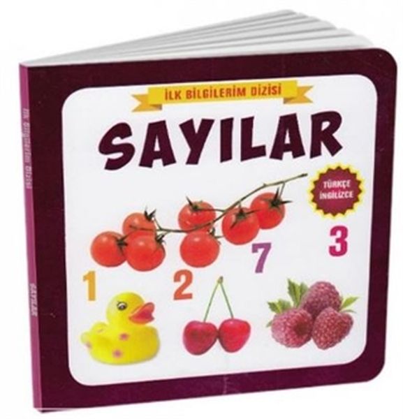 Sayılar  İlk Bilgilerim Dizisi