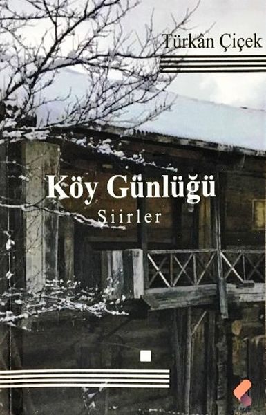 Köy Günlüğü