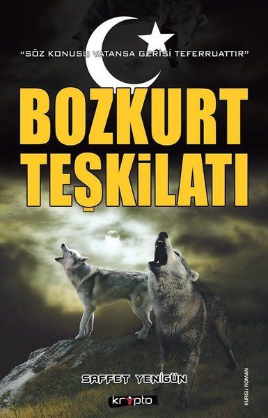 Bozkurt Teşkilatı