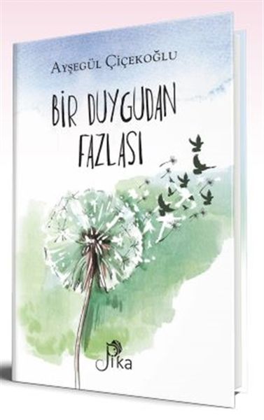 Bir Duygudan Fazlası