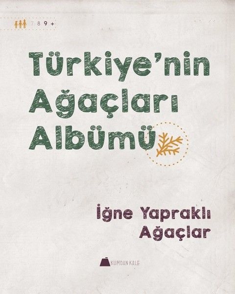 İğne Yapraklı Ağaçlar  Türkiyenin Ağaçları Albümü