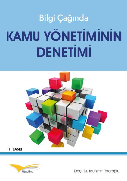 Bilgi Çağında Kamu Yönetiminin Denetimi