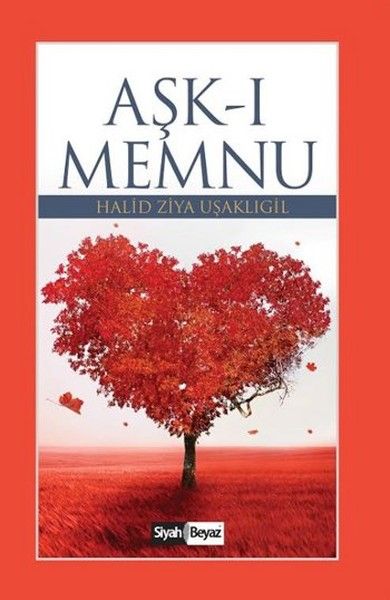 Aşkı Memnu