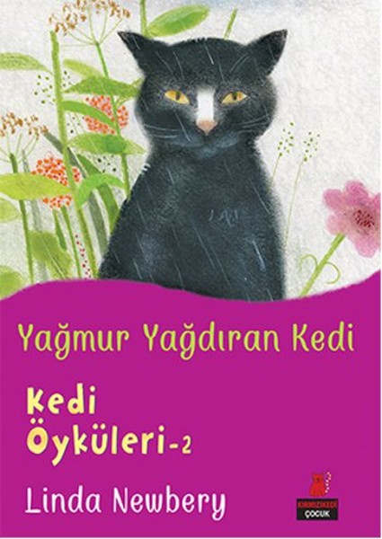 Kedi Öyküleri 2  Yağmur Yağdıran Kedi