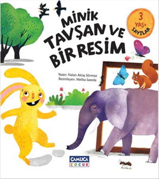 Minik Tavşan ve Bir Resim  Sayılar