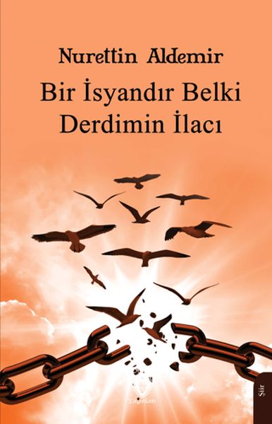 Bir İsyandır Belki Derdimin İlacı