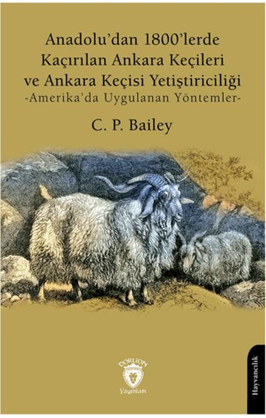 Anadolu’dan 1800’lerde Kaçırılan Ankara Keçileri ve Ankara Keçisi Yetiştiriciliği Amerika’da Uygula