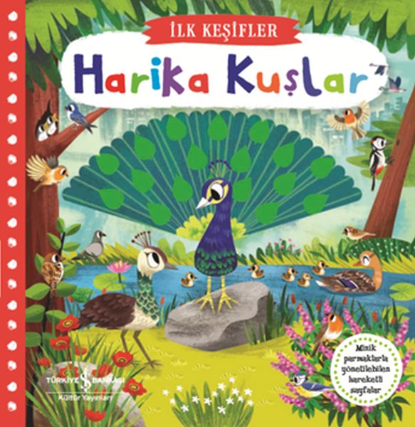 Hareketli Harika Kuşlar  İlk Keşifler