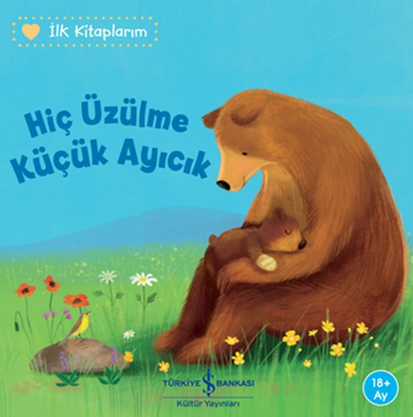 Hiç Üzülme Küçüük Ayıcık  İlk Kitaplarım