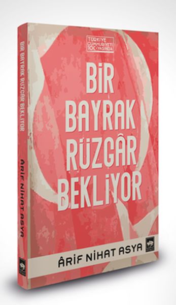 Bir Bayrak Rüzgar Bekliyor Ciltli