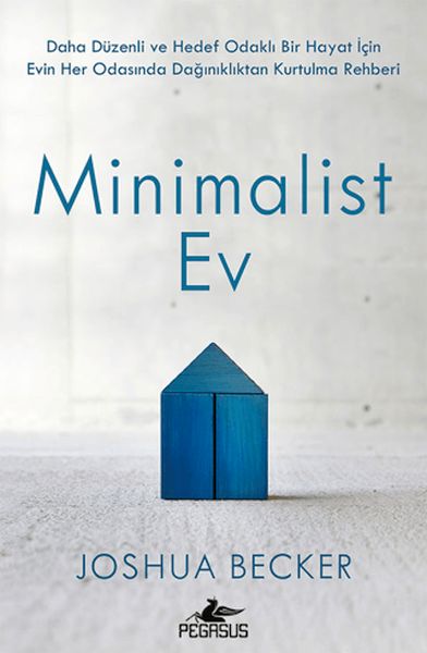 Minimalist Ev