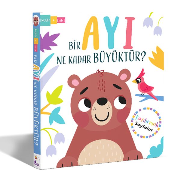 Bir Ayı Ne Kadar Büyüktür – Kaydır + Keşfet