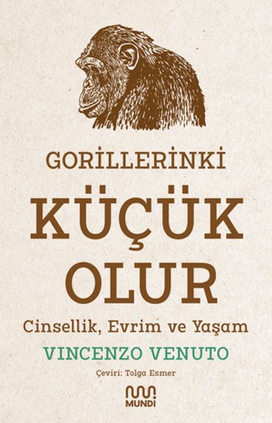 Gorillerinki Küçük Olur Cinsellik Evrim ve Yaşam