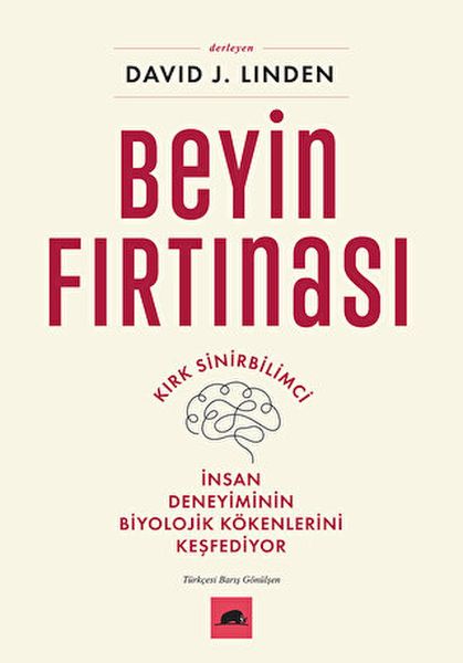 Beyin Fırtınası