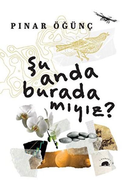 Şu Anda Burada Mıyız