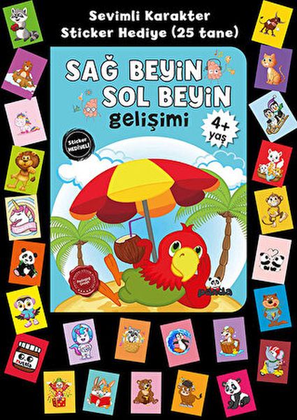 Stickerlı 4+ Yaş Sağ Beyin Sol Beyin Gelişim