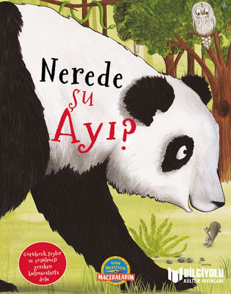 Nerede Şu Ayı 