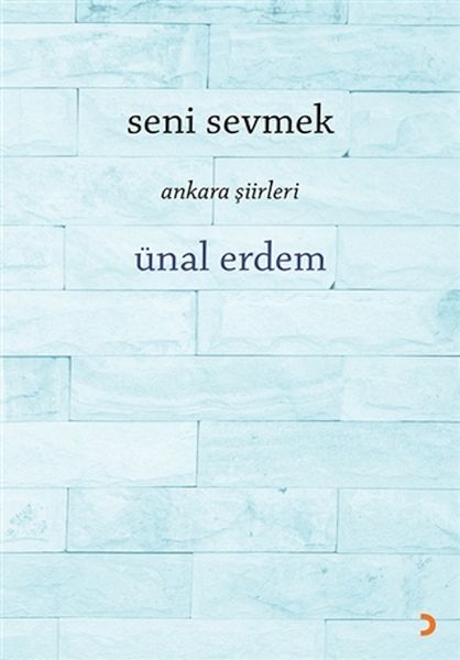 Seni Sevmek