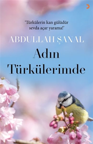 Adın Türkülerimde