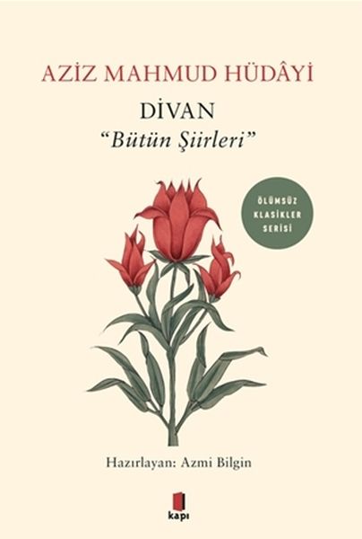 Divan  Bütün Şiirleri