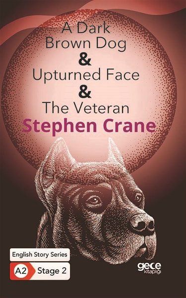 A Dark Brown Dog  Upturned Face  The Veteran  İngilizce Hikayeler A2 Stage 2