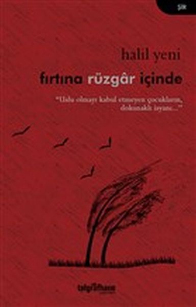 Fırtına Rüzgar İçinde