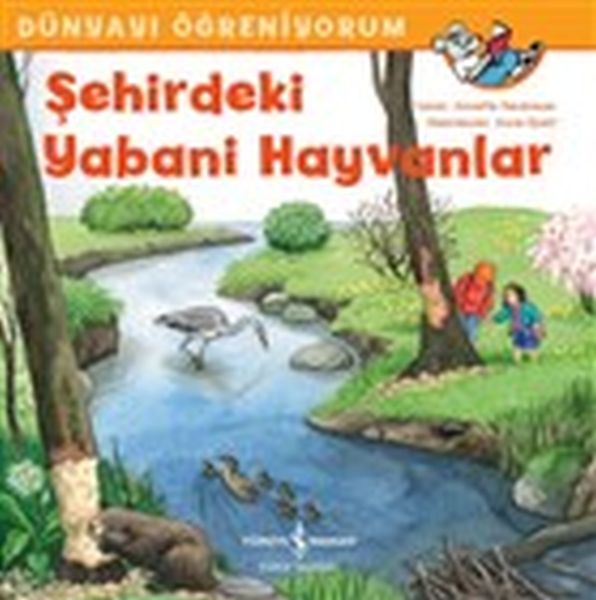 Şehirdeki Yabani Hayvanlar  Dünyayı Öğreniyorum