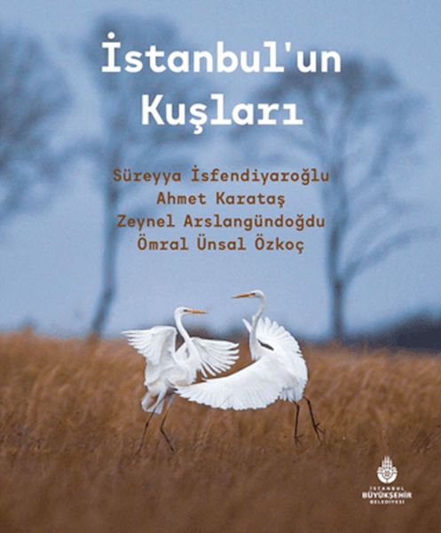 İstanbulun Kuşları