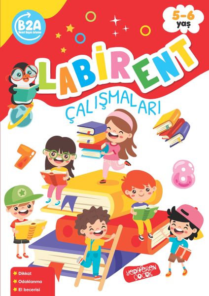 Labirent Çalışmaları