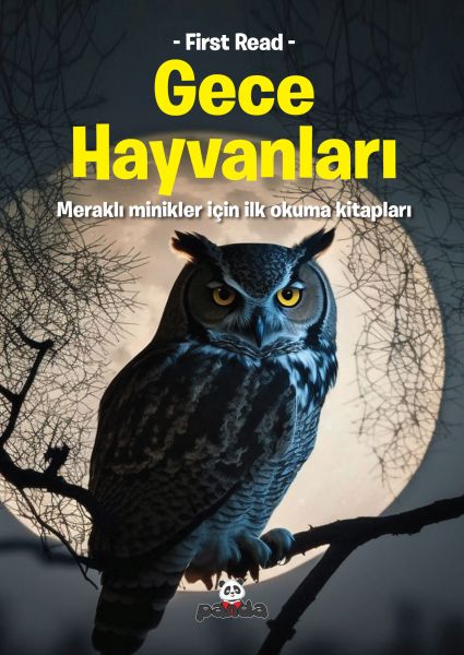 Gece Hayvanları