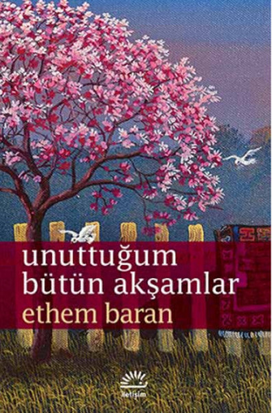 Unuttuğum Bütün Akşamlar