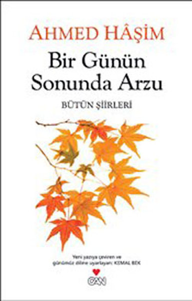 Bir Günün Sonunda Arzu  Bütün Şiirleri