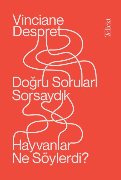 Doğru Soruları Sorsaydık Hayvanlar Ne Söylerdi