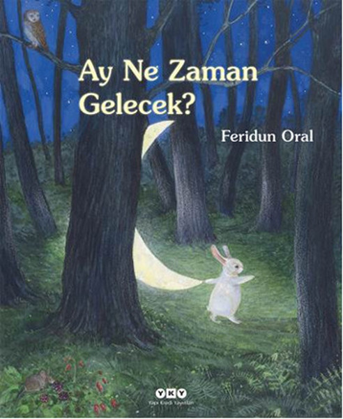 Ay Ne Zaman Gelecek Ciltli