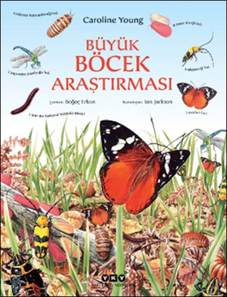 Büyük Böcek Araştırması