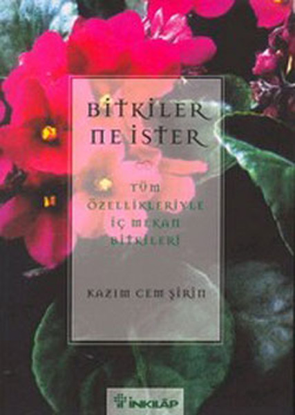 Bitkiler Ne İster  Tüm Özellikleriyle İç Mekan Bitkileri