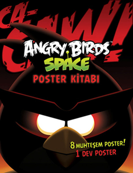 Angry Birds Space Poster Kitabı