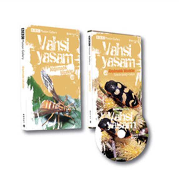 Vahşi Yaşam 2  Alışılmadık Böcekler Dvd ekli