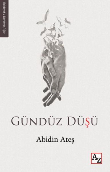 Gündüz Düşü