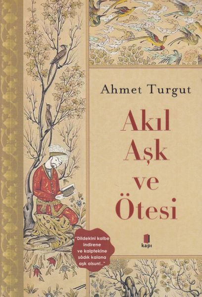 Akıl ve Aşk Ötesi