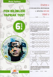 Güneş 6 Sınıf Fen Bilimleri Yaprak Test