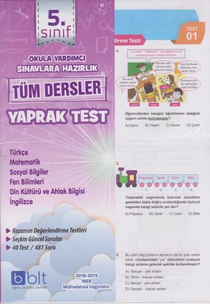 Bulut 5 Sınıf Tüm Dersler Yaprak Test