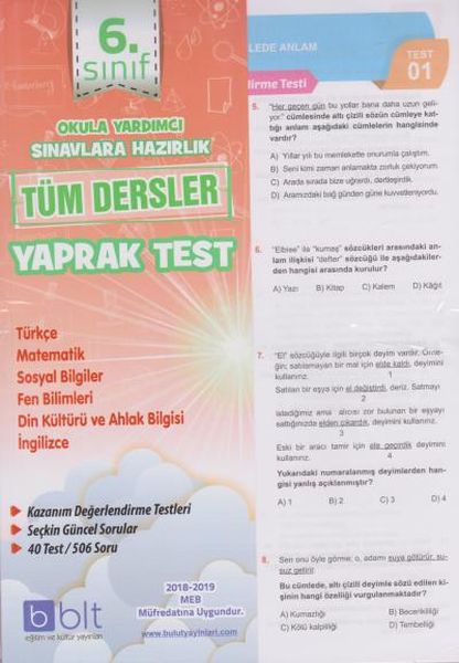 Bulut 6 Sınıf Tüm Dersler Yaprak Test