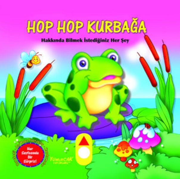 Hop Hop Kurbağa  Hareketli Kitap