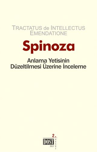 Anlama Yetisinin Düzeltilmesi Üzerine İnceleme