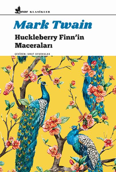 Huckleberry Finnin Maceraları