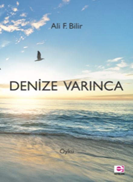 Denize Varınca